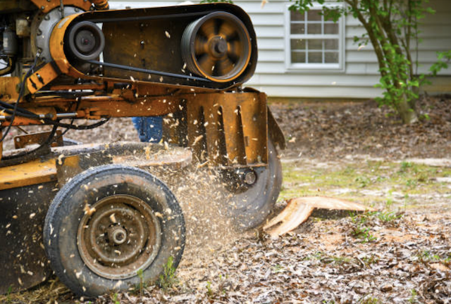 stump removal in hawaii