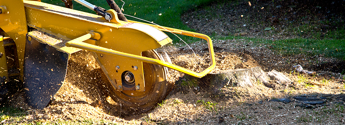 HI Stump Removal